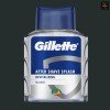 Gillette Series After Shave Splash Revitalizing Sea Mist